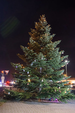 Weihnachtsbaum vor dem Feuerwehrhaus