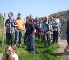 Wanderung am Kaiserstuhl