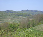 Wanderung am Kaiserstuhl