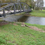 Schaf an der Dreisambrcke