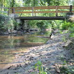 Bachlauf im Wald bei Niedrigwasser (August 2003)