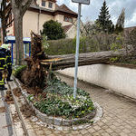 Bildquelle: Stefan Berger, Feuerwehr March