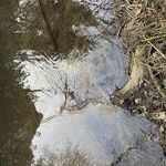 Bildquelle: Stefan Berger (Feuerwehr March)